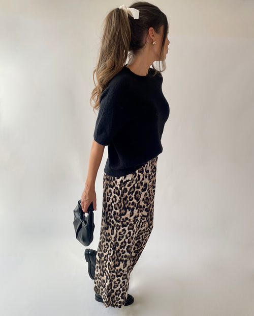 HOSE LEO